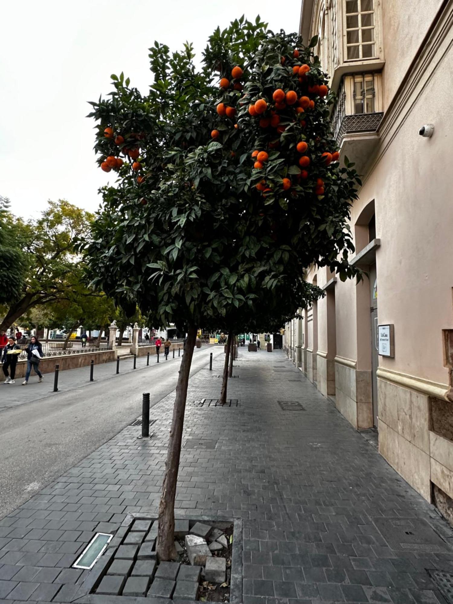 Malaga'S Secret Apartment Bagian luar foto